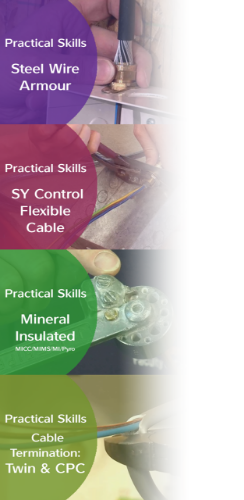 Picture of Practical Skills - Part B