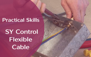 Picture of Practical Skills Complete Series